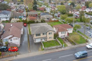 Photo 4: 1 2559 Cook St in Victoria: Vi Oaklands Half Duplex for sale : MLS®# 936819
