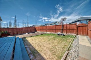 Photo 40: 314 Evanston Drive NW in Calgary: Evanston Detached for sale : MLS®# A2129617