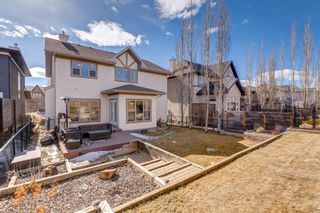 Photo 44: 154 Discovery Ridge Way SW in Calgary: Discovery Ridge Detached for sale : MLS®# A1195594