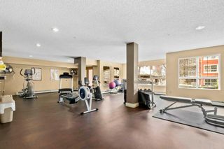 Photo 23: 415 5115 Richard Road SW in Calgary: Lincoln Park Apartment for sale : MLS®# A2127940