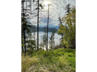 Photo 11: DL 7708 CANIM HENDRIX ROAD in Canim Lake: Vacant Land for sale : MLS®# R2808692