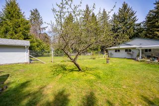 Photo 28: 5105 Mitchell Rd in Courtenay: CV Courtenay North House for sale (Comox Valley)  : MLS®# 900656