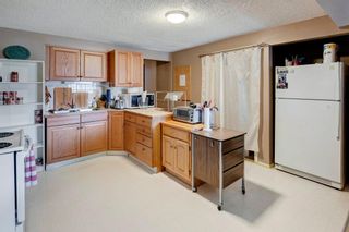 Photo 17: 4819 22 Avenue NW in Calgary: Montgomery Detached for sale : MLS®# A2053112