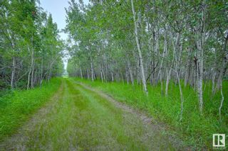 Photo 40: 473041 RGE RD 255: Rural Wetaskiwin County House for sale : MLS®# E4351328