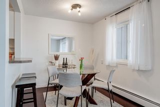 Photo 10: 303 607 7 Avenue NE in Calgary: Renfrew Apartment for sale : MLS®# A2033863