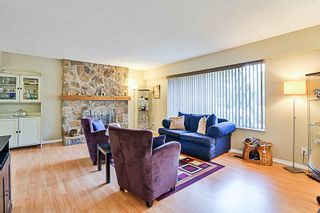 Photo 4: 21756 DONOVAN Avenue in Maple Ridge: West Central House for sale : MLS®# R2194111