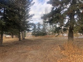 Photo 4: 16022 402 Avenue E: Rural Foothills County Land for sale : MLS®# A1051546
