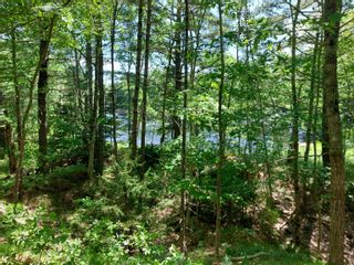 Photo 4: Lot Bowers Road in Lower Ohio: 407-Shelburne County Vacant Land for sale (South Shore)  : MLS®# 202413710