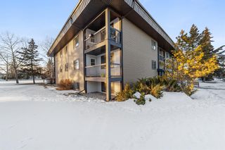 Photo 18: 217 6108 53 Street: Olds Apartment for sale : MLS®# A2017875