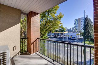 Photo 36: 209 1110 5 Avenue NW in Calgary: Hillhurst Apartment for sale : MLS®# A2020265