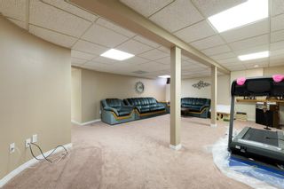 Photo 18: 169 Ball Place: Fort McMurray Detached for sale : MLS®# A2033038