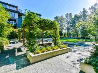 Photo 30: 403 262 SALTER Street in New Westminster: Queensborough Condo for sale : MLS®# R2504018