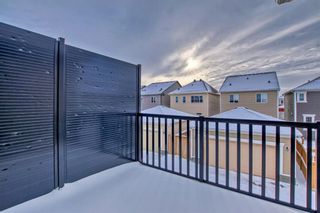 Photo 18: . 209 Cityscape Boulevard in Calgary: Cityscape Row/Townhouse for sale : MLS®# A2118897
