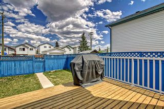 Photo 46: 4229 Catalina Boulevard NE in Calgary: Monterey Park Detached for sale : MLS®# A2053076