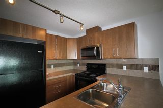 Photo 18: 2109 210 15 Avenue in Calgary: Beltline Apartment for sale : MLS®# A2009696