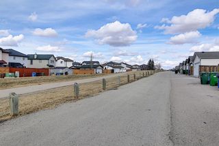 Photo 48: 87 Taravista Street NE in Calgary: Taradale Detached for sale : MLS®# A1084185