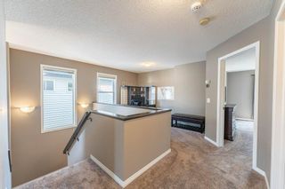 Photo 16: 205 Copperfield Common SE in Calgary: Copperfield Detached for sale : MLS®# A2003342