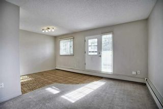 Photo 8: 1109 3115 51 Street SW in Calgary: Glenbrook Apartment for sale : MLS®# A2129011