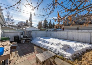Photo 20: 351 94 Avenue SE in Calgary: Acadia Detached for sale : MLS®# A2026418