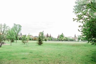 Photo 12: 1105 43 Street SW in Calgary: Rosscarrock Semi Detached (Half Duplex) for sale : MLS®# A2080932