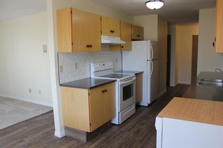 Photo 10: 228 6108 53: Olds Apartment for sale : MLS®# A1197485