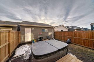 Photo 41: 20529 Main Street in Calgary: Seton Semi Detached (Half Duplex) for sale : MLS®# A2116854