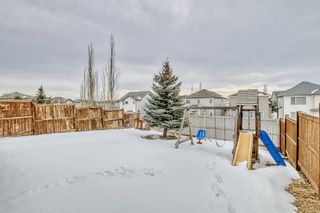 Photo 42: 105 Hillcrest Drive SW: Airdrie Detached for sale : MLS®# A2033496