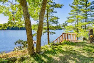 Photo 21: 982 East Shore Road in Georgian Bay: House (Bungalow) for sale : MLS®# X5755566