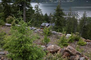 Photo 7: 278 Bayview Drive, in Sicamous: Vacant Land for sale : MLS®# 10264902