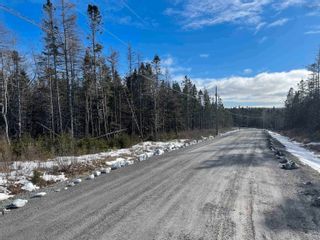 Photo 3: 12 Grandique Ferry Road in Louisdale: 305-Richmond County / St. Peters Vacant Land for sale (Highland Region)  : MLS®# 202304182