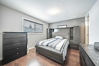 Photo 7: 347 Abadan Place NE in Calgary: Abbeydale Detached for sale : MLS®# A2126341