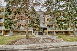 Photo 2: 413 617 56 Avenue SW in Calgary: Windsor Park Apartment for sale : MLS®# A2047908
