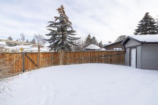 Photo 38: 1927 Pinetree Crescent NE in Calgary: Pineridge Detached for sale : MLS®# A2031559