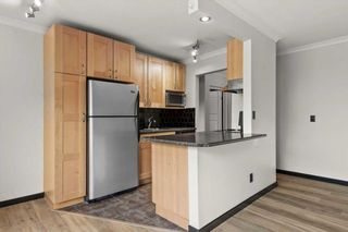 Photo 11: 401 409 1 Avenue NE in Calgary: Crescent Heights Apartment for sale : MLS®# A2142062