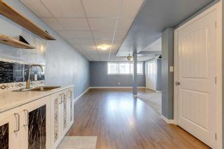 Photo 19: 313 28 Avenue NE in Calgary: Tuxedo Park Semi Detached (Half Duplex) for sale : MLS®# A2079035