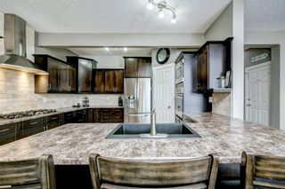 Photo 12: 254 BAYSIDE Point SW: Airdrie Detached for sale : MLS®# A1037560
