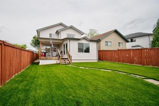 Photo 40: 63 MT Apex Green SE in Calgary: McKenzie Lake Detached for sale : MLS®# A1009034