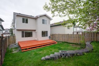 Photo 37: 19 Bridlewood Grove SW in Calgary: Bridlewood Detached for sale : MLS®# A1109606