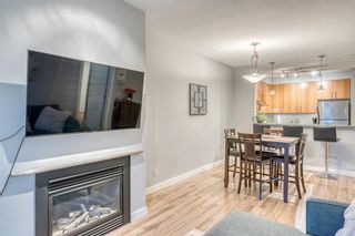 Photo 14: 306 1000 Centre Avenue NE in Calgary: Bridgeland/Riverside Apartment for sale : MLS®# A2019749