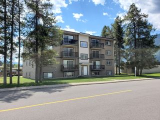 Photo 4:  in East Kootenays: Multifamily for sale