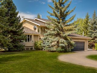 Photo 1: 181 Springbank Heights Place in Rural Rocky View County: Rural Rocky View MD Detached for sale : MLS®# A2018175
