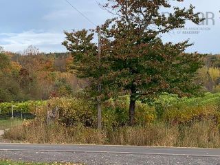 Photo 11: 2262 Highway 221 in Dempseys Corner: Kings County Residential for sale (Annapolis Valley)  : MLS®# 202209157