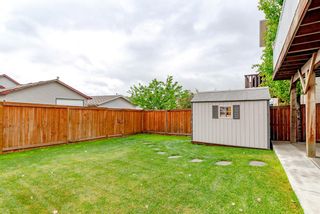 Photo 40: 53 Evansford Grove NW in Calgary: Evanston Detached for sale : MLS®# A1229670