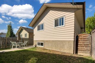 Photo 41: 106 Abalone Crescent NE in Calgary: Abbeydale Detached for sale : MLS®# A2003308