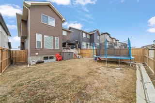 Photo 30: 573 Nolan Hill Boulevard NW in Calgary: Nolan Hill Detached for sale : MLS®# A2039277