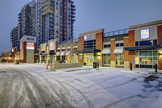 Photo 42: 1008 8880 Horton Road SW in Calgary: Haysboro Apartment for sale : MLS®# A1169538