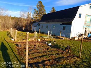 Photo 8: 7819 Highway 1 in Ardoise: Hants County Residential for sale (Annapolis Valley)  : MLS®# 202407404