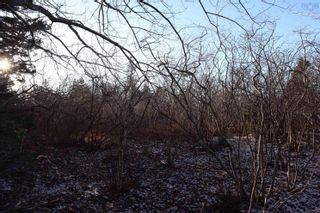 Photo 4: Lot W-5A Everetts Way in Hunts Point: 406-Queens County Vacant Land for sale (South Shore)  : MLS®# 202227487