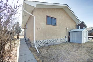 Photo 27: 3431 30A Avenue SE in Calgary: Dover Detached for sale : MLS®# A1200936