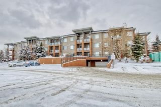 Photo 44: 321 2727 28 Avenue SE in Calgary: Dover Apartment for sale : MLS®# A2022433